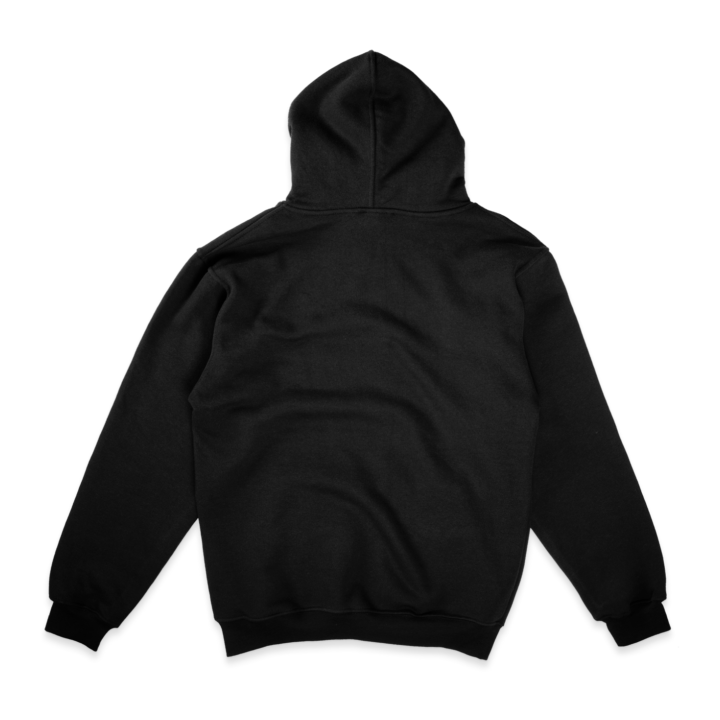 Artist Heavy Weight Oversized Hoodie /Unisex